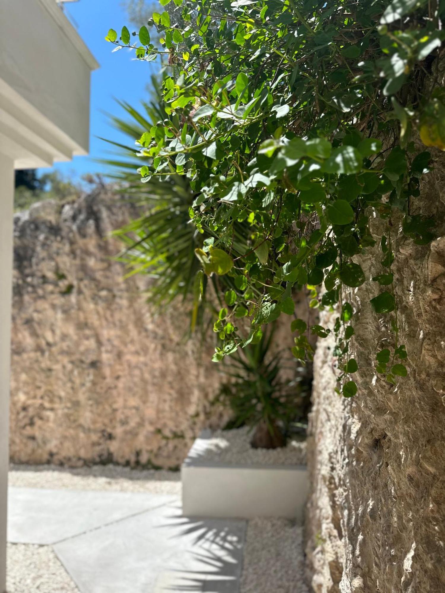 Petra Maris B&B Peschici Buitenkant foto